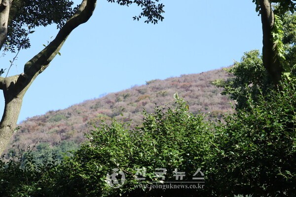 산기슭. [출처=전국뉴스]