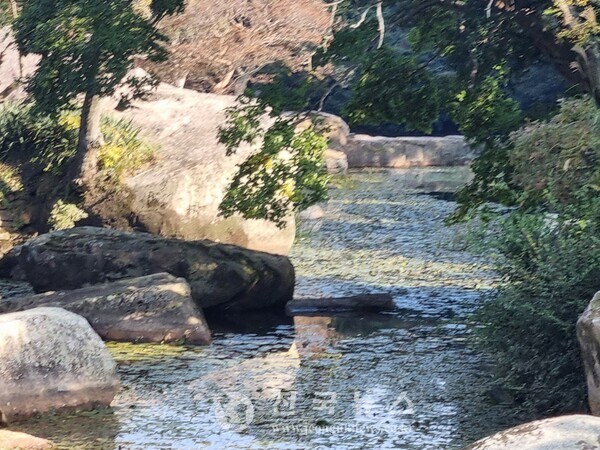 [출처=전국뉴스]