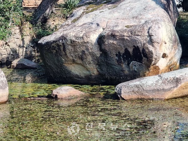 [출처=전국뉴스]