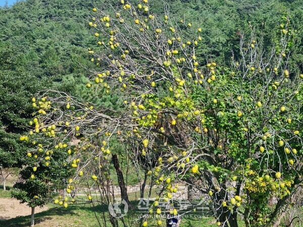 [출처=전국뉴스]