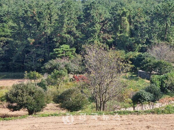 [출처=전국뉴스]