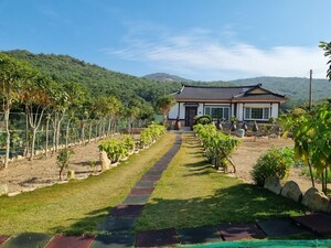 완도군  보길도 문화기행